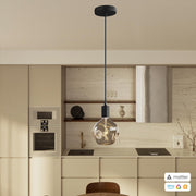 PENDEL CONFIG MATTER 11684