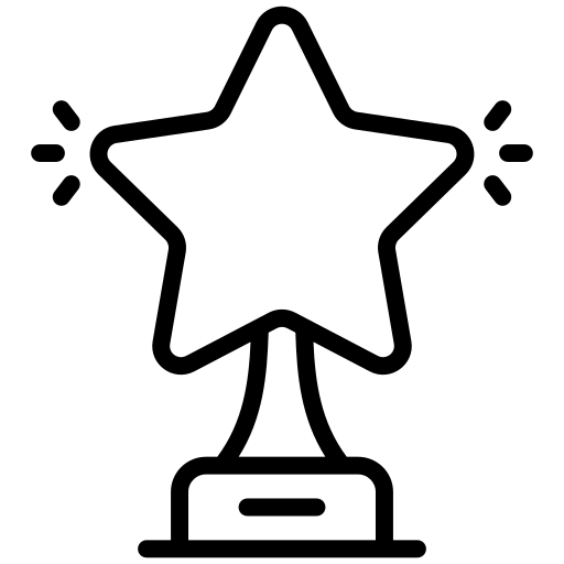 <strong>Mezinárodní ocenění</strong>